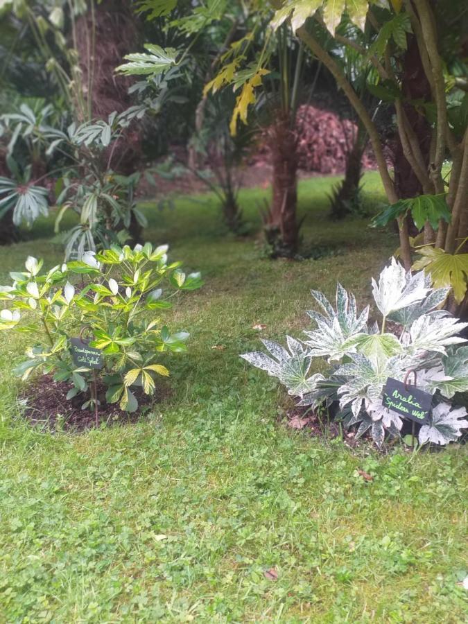 Villa Un Jardin En Pente Douce à Locquenole Extérieur photo
